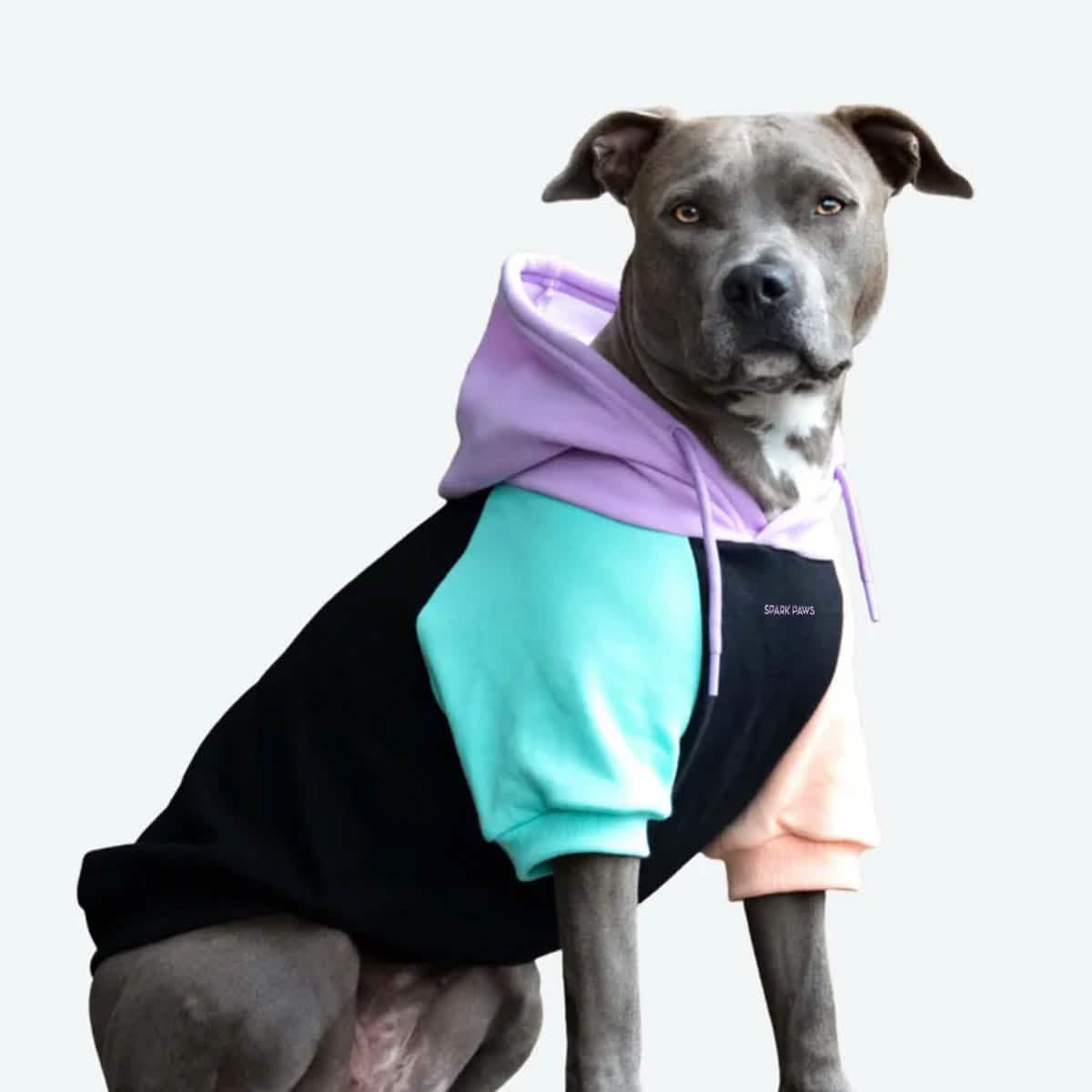 Cyber Punk Dog Hoodie