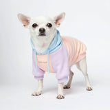 Cotton Candy Dog Hoodie