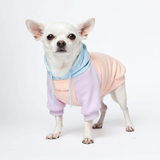Color Block Dog Hoodies