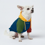 Color Block Dog Hoodies