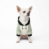 Color Block Dog Hoodies