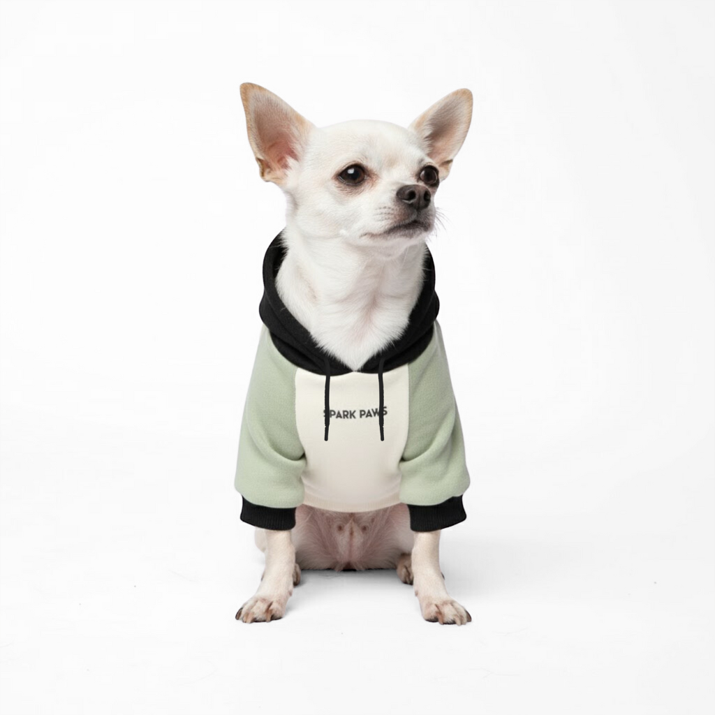 Color Block Dog Hoodies