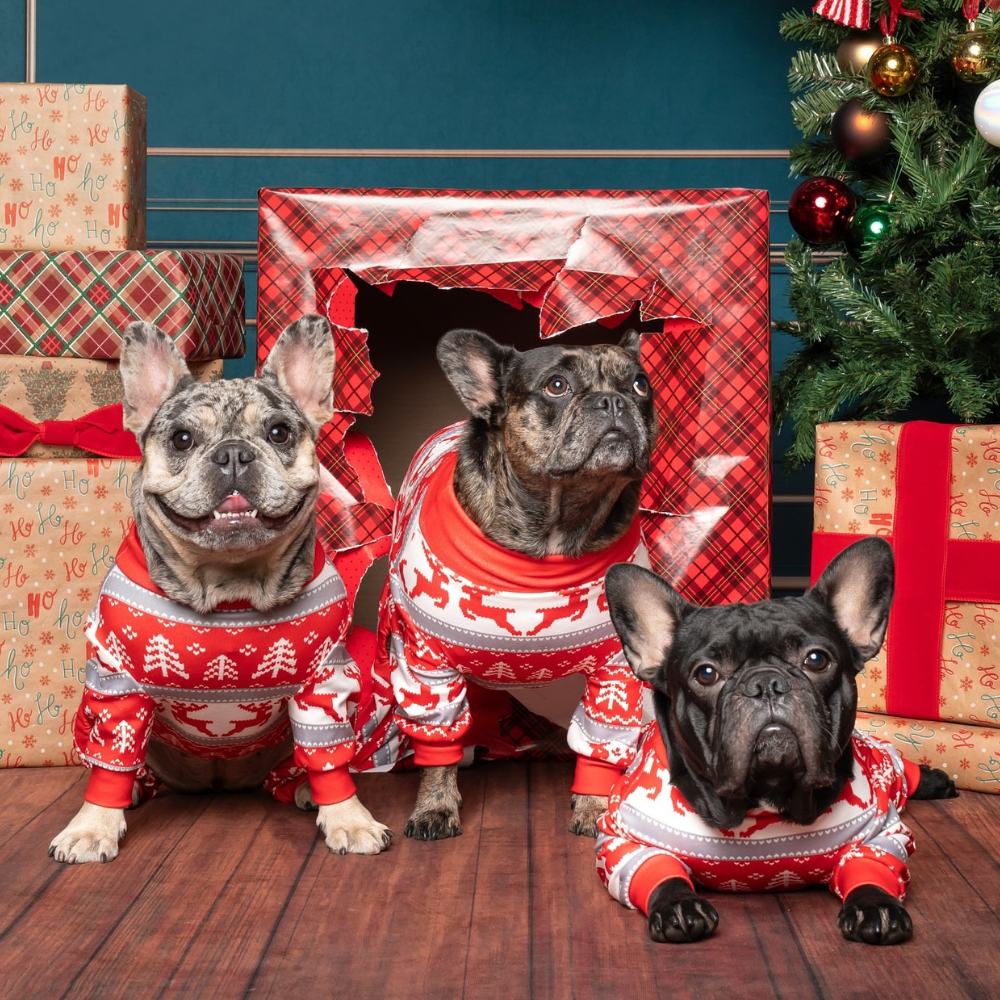 Dog Christmas Pajama - Winter Wonderland