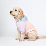 Cotton Candy Dog Hoodie