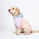 Color Block Dog Hoodies