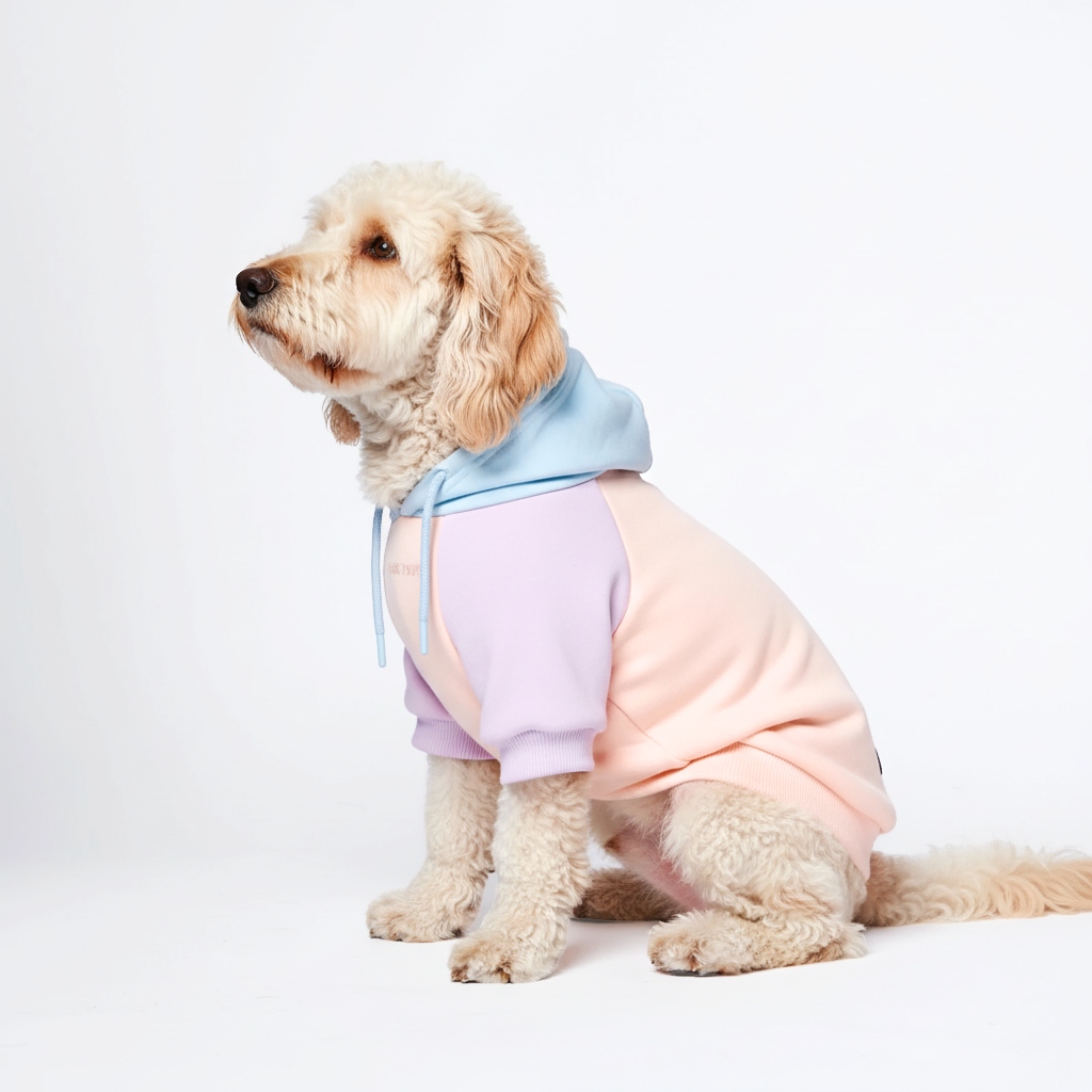 Color Block Dog Hoodies