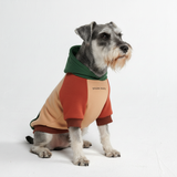 Color Block Dog Hoodies