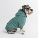 Essential Dog Hoodies