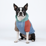 Color Block Dog Hoodies