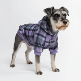 Plaid Dog Hoodies