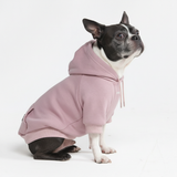 Essential Dog Hoodie - Purple Taupe