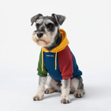 Color Block Dog Hoodies