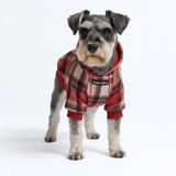 Plaid Dog Hoodies