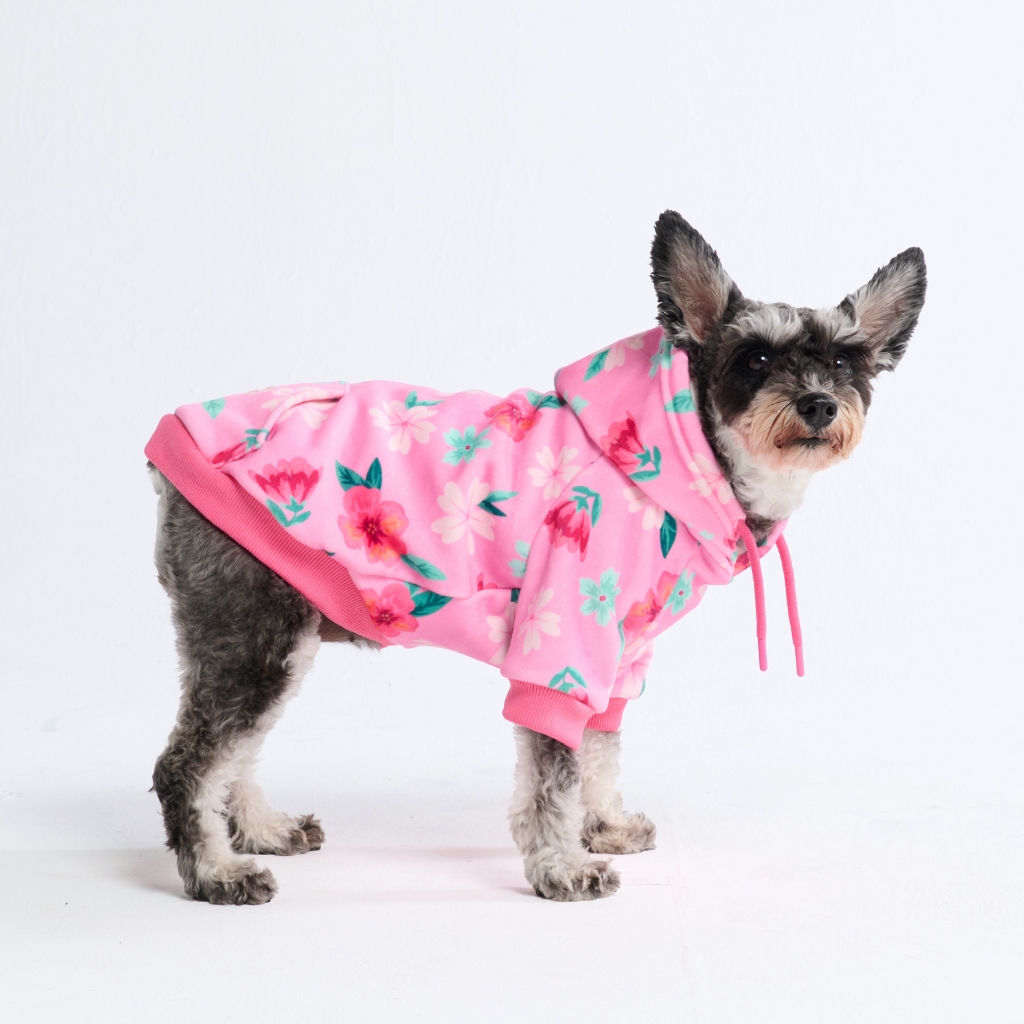 Dog Hoodie Prints