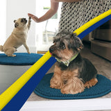 Wumarts Mat® Super Absorbent Microfiber Dog Door Oval Mat