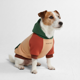 Color Block Dog Hoodies