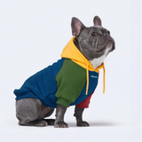 Color Block Dog Hoodies