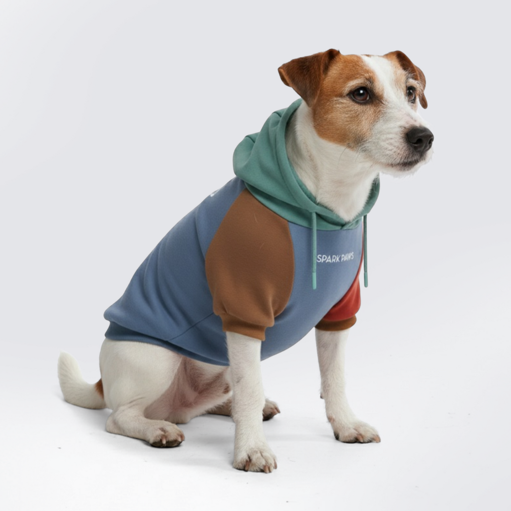 Color Block Dog Hoodies
