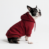 Essential Dog Hoodie - Burgundy