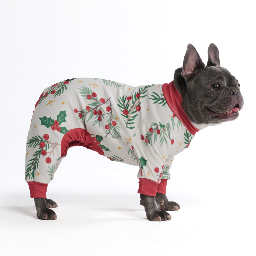 Dog Christmas Pajamas