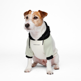 Color Block Dog Hoodies