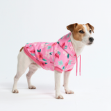 Dog Hoodie Prints