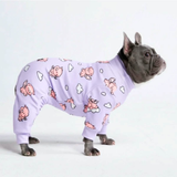 Dog Pajama - When Pigs Fly