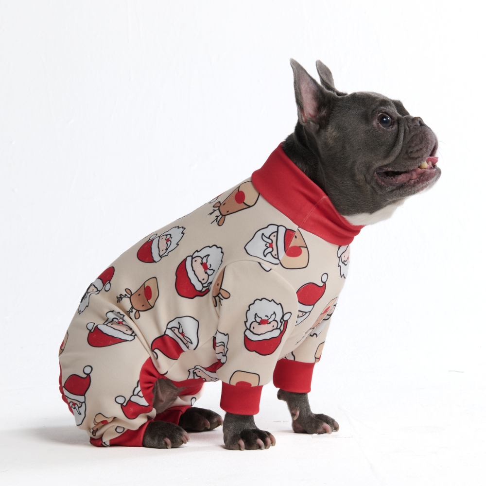 Dog Christmas Pajamas