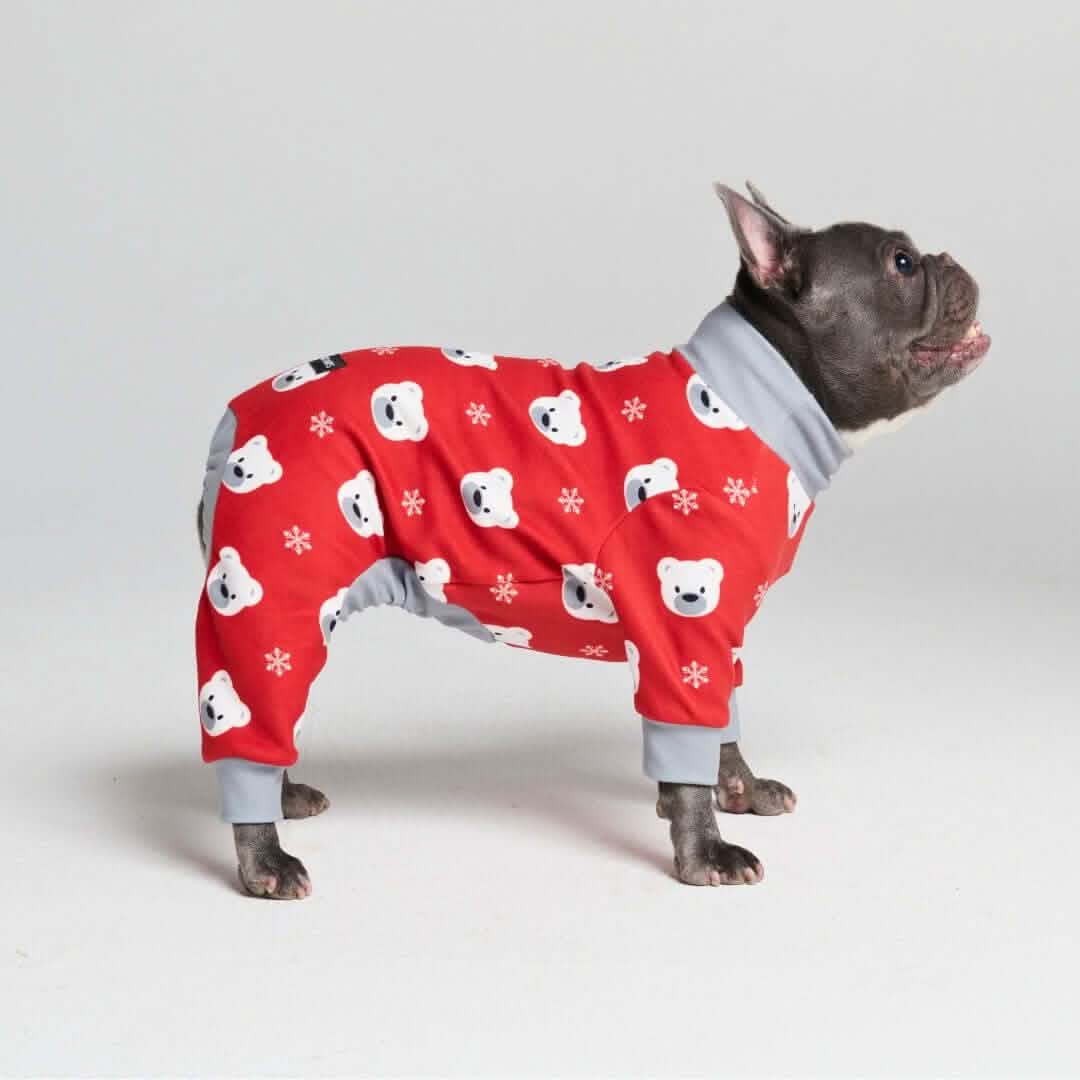 Dog Pajama Prints