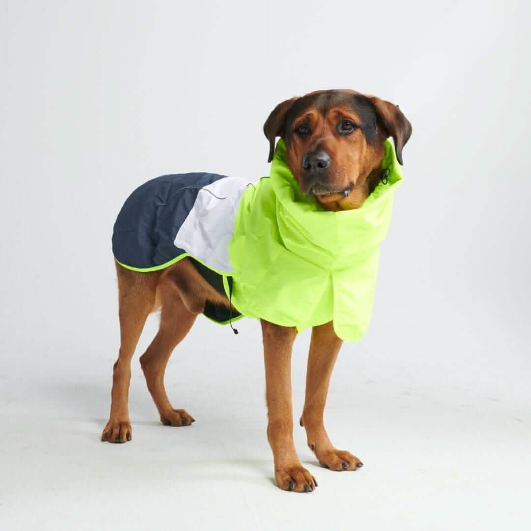 Breatheshield™ Dog Raincoats