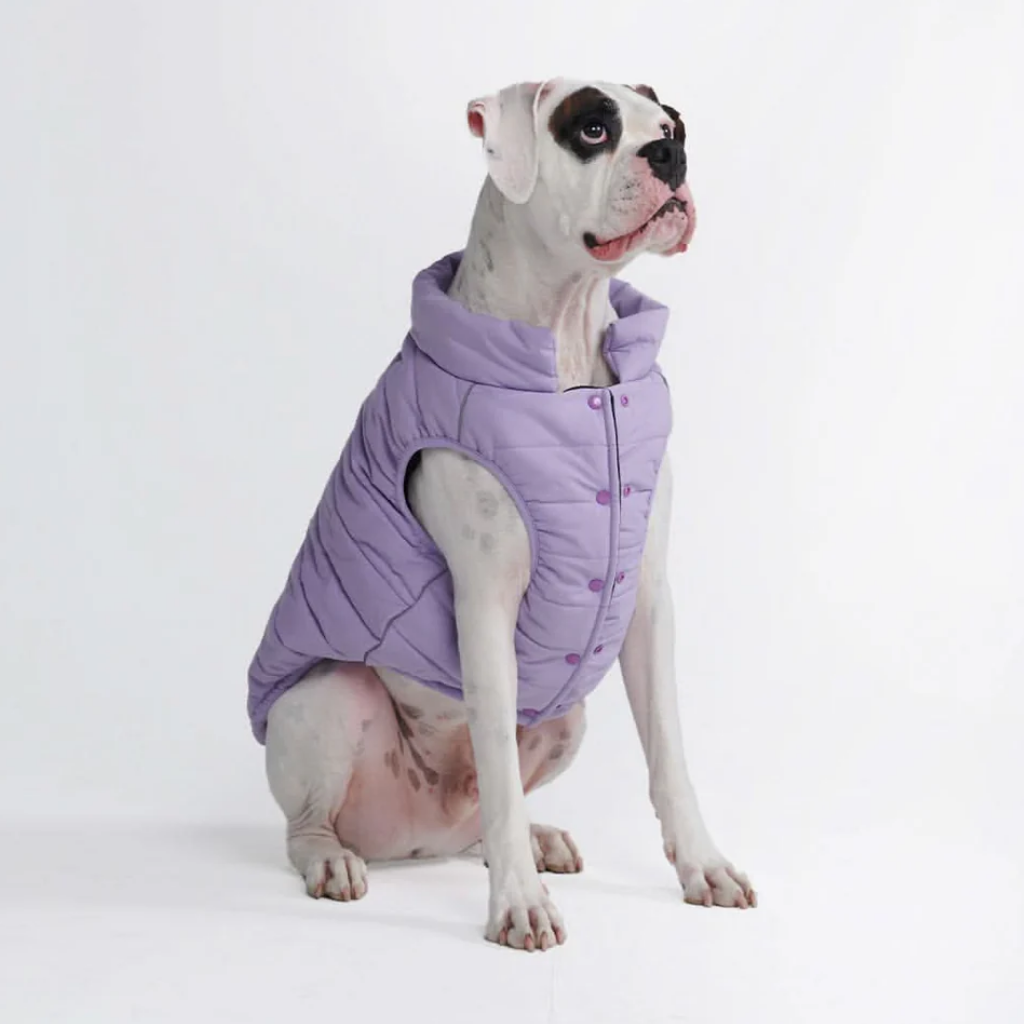 WarmShield Water-Resistant Jacket - Lilac