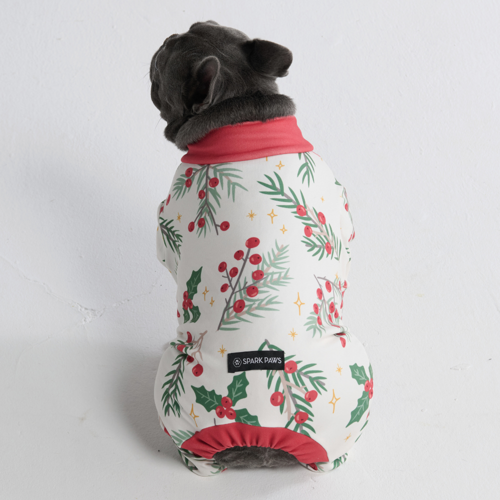 Dog Christmas Pajamas