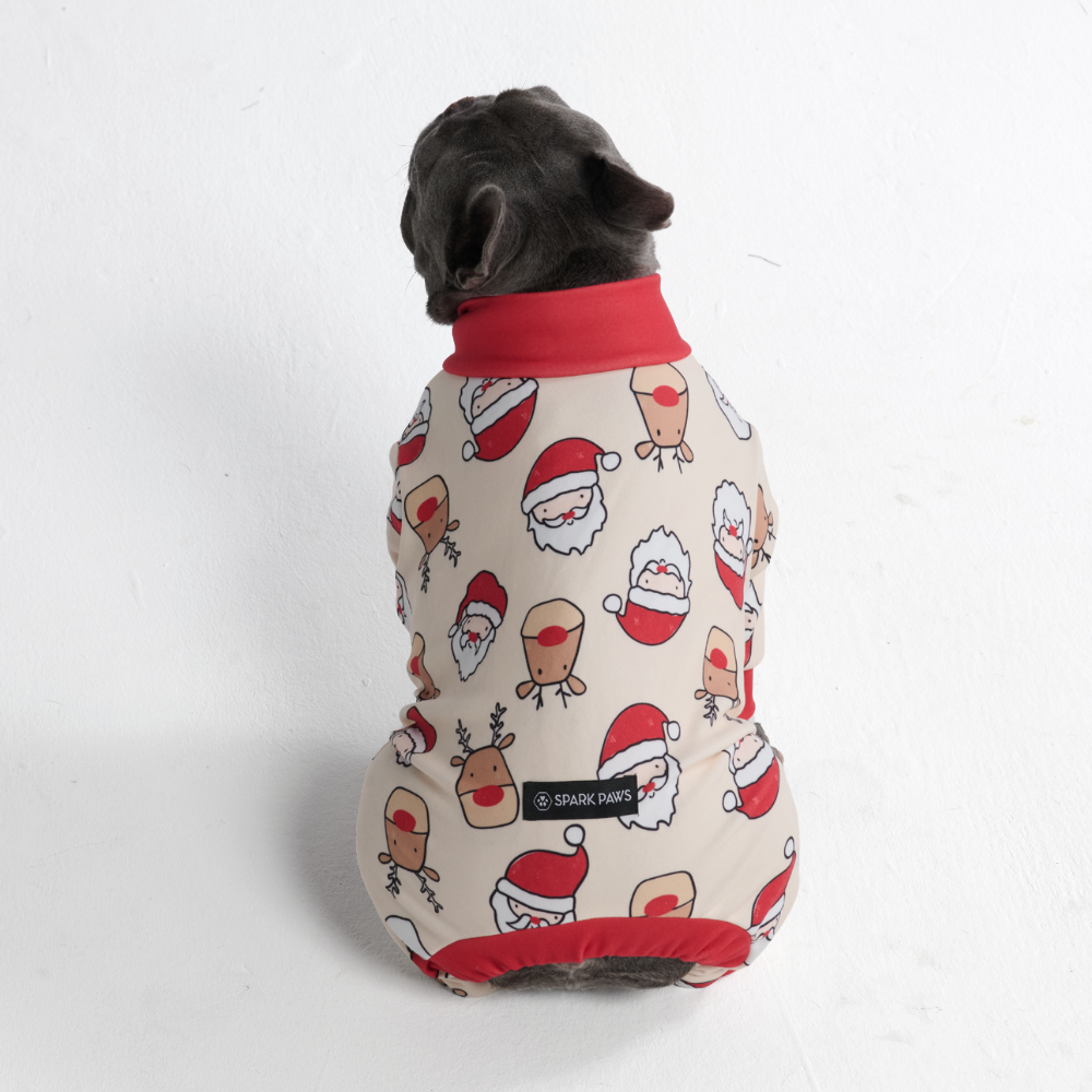 Dog Christmas Pajama - Santa and Rudolph