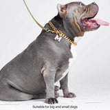 Cuban Link Chain Dog Collar - Gold