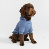 Essential Dog Hoodies
