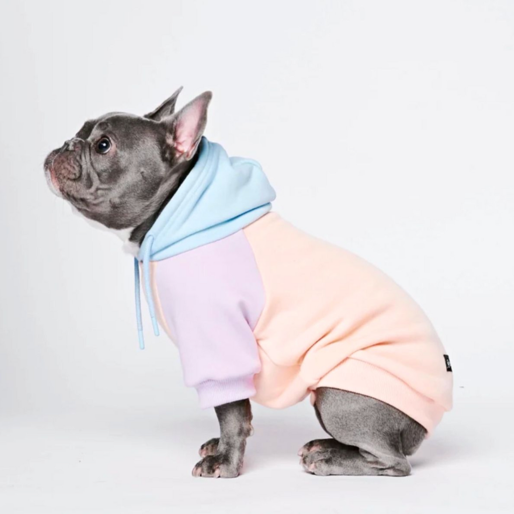 Color Block Dog Hoodies