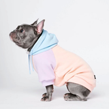Color Block Dog Hoodies