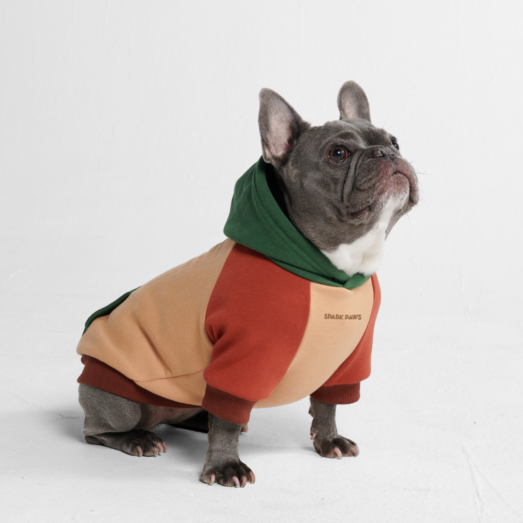 Color Block Dog Hoodies