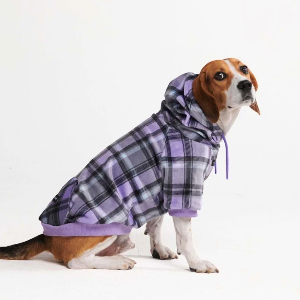 Plaid Dog Hoodies