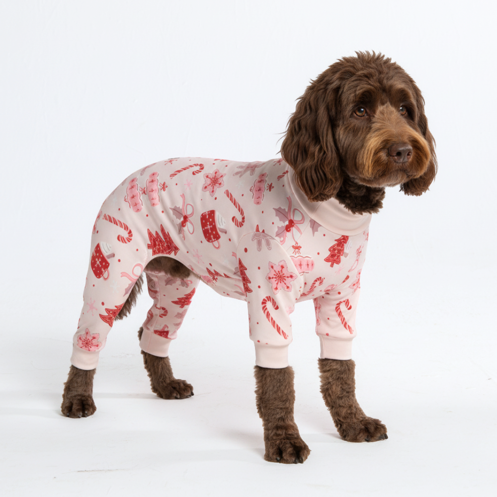 Dog Christmas Pajamas