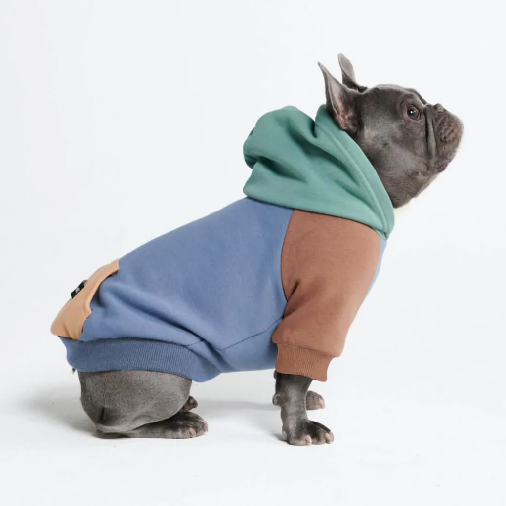 Color Block Dog Hoodies