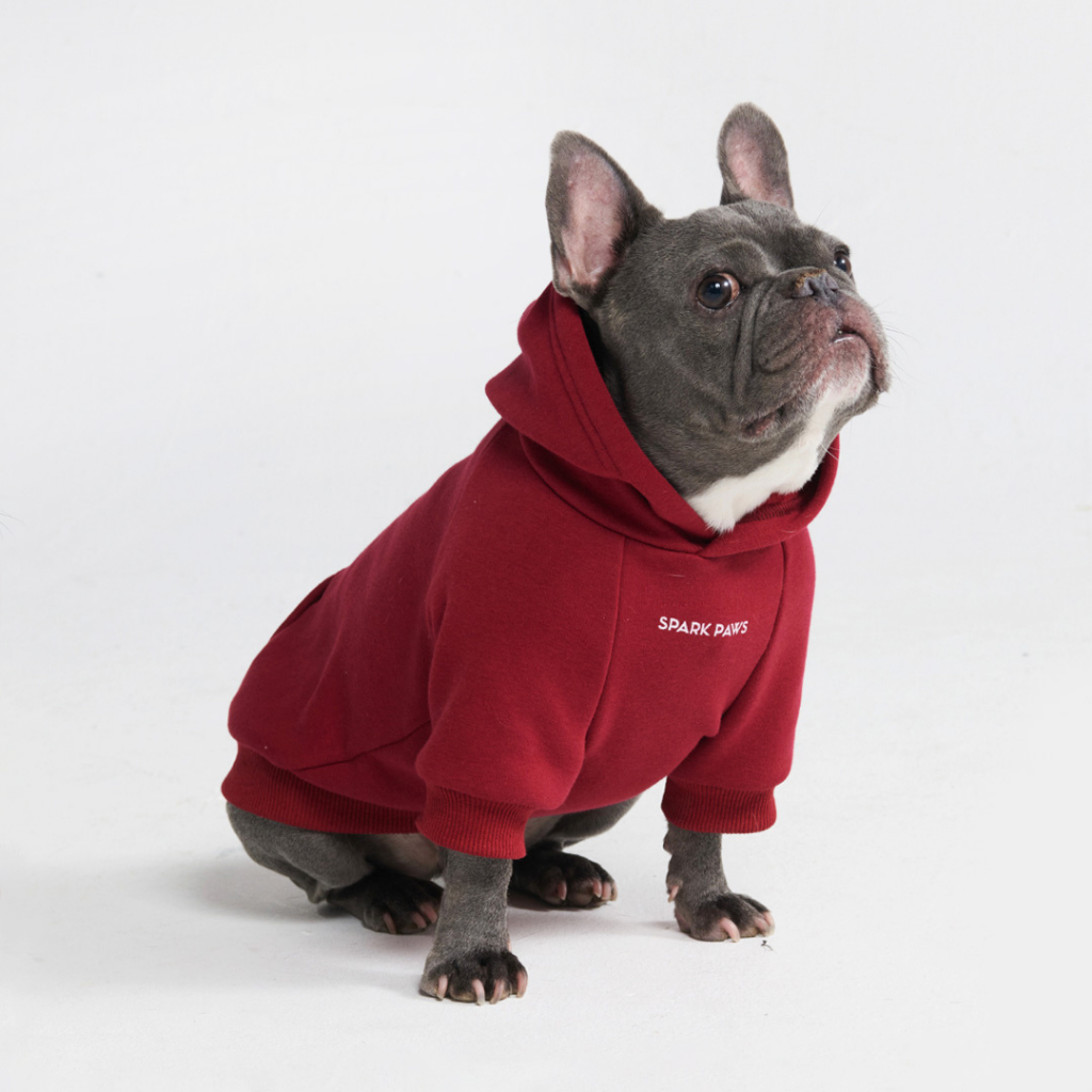 Essential Dog Hoodie - Burgundy
