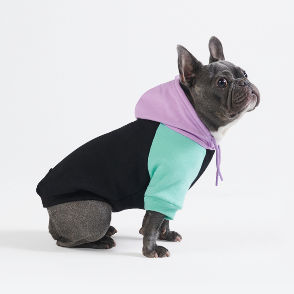 Cyber Punk Dog Hoodie