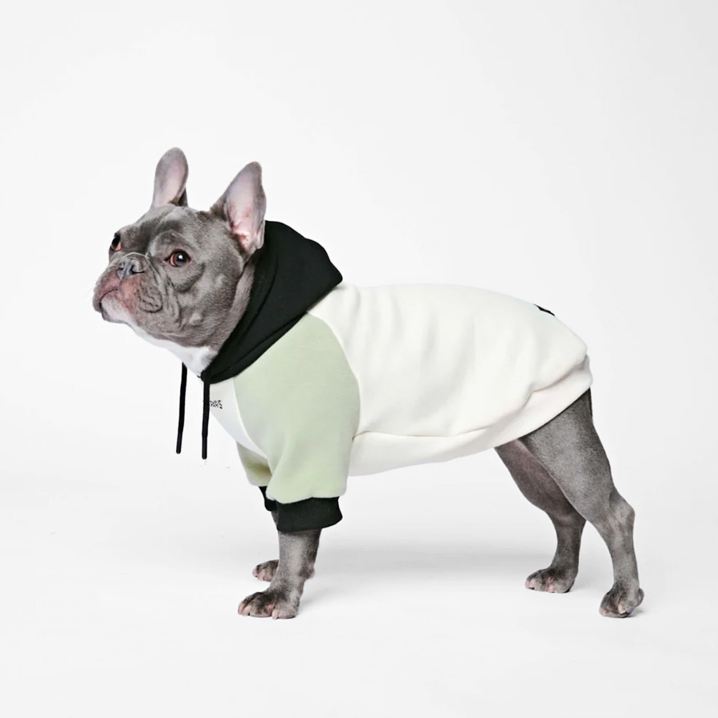 Color Block Dog Hoodies