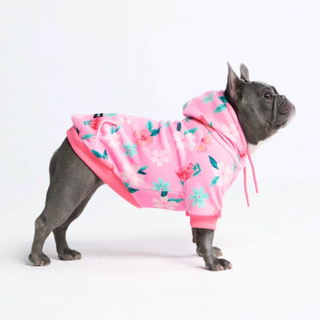 Dog Hoodie Prints