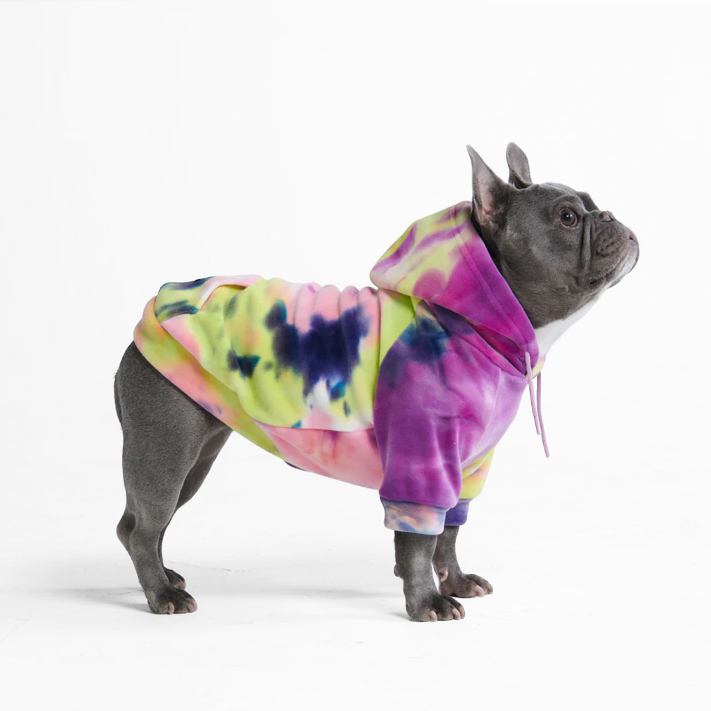 Velvet Dog Hoodie - Berry Lemonade