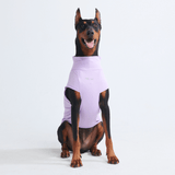 Sunblock Dog T-Shirts