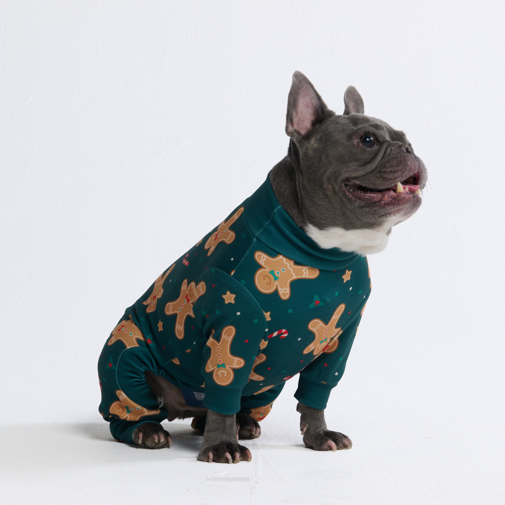Dog Christmas Pajamas
