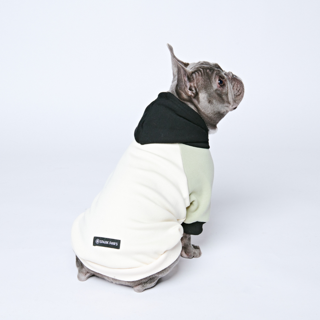 Color Block Dog Hoodies