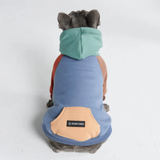 Color Block Dog Hoodies